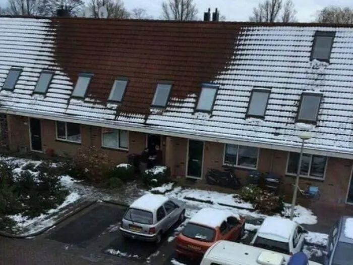 To Hide An Illegal Marijuana Farm