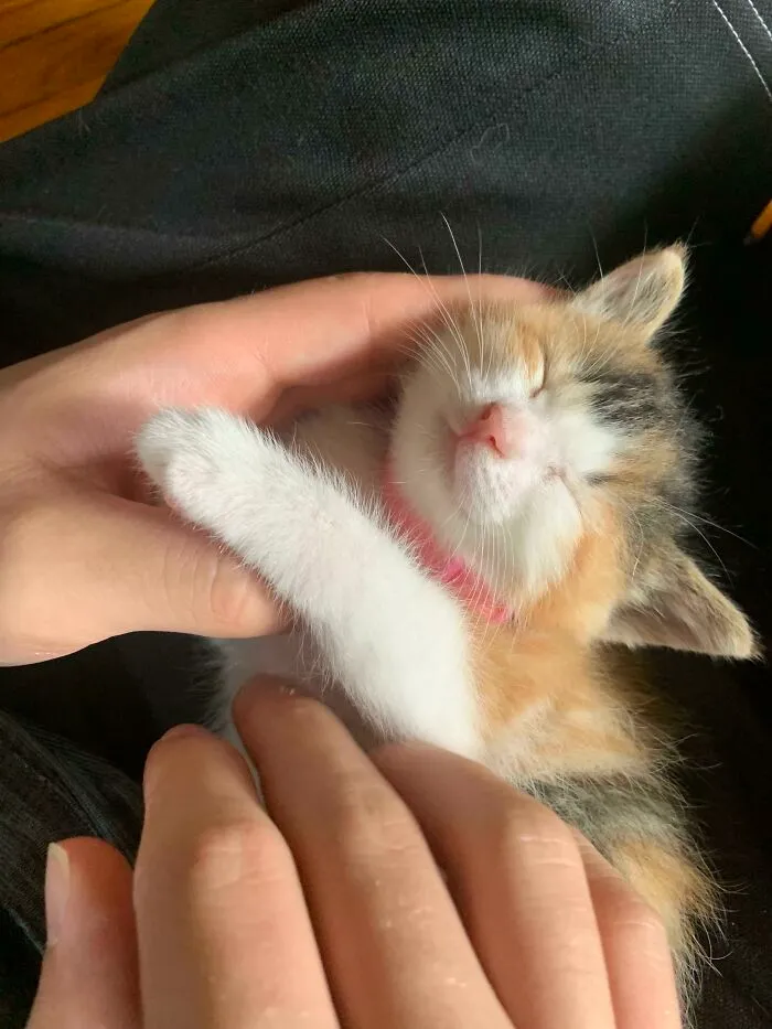 Her Only Crime Was Smiling Too Much