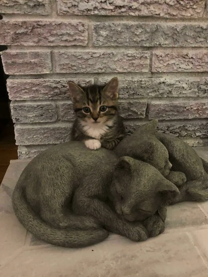 Angela’s First Night With Us