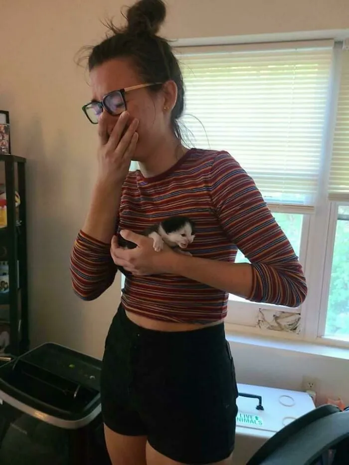I Got To Meet Newborn Kittens Yesterday. Needless To Say It Was An Emotional Experience