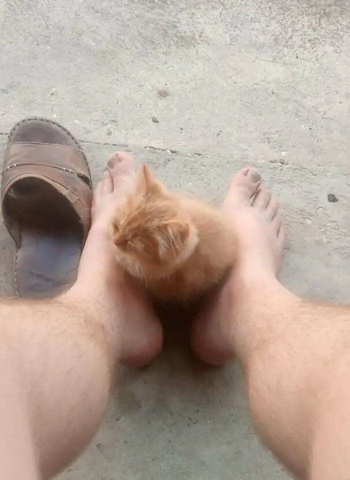 If It Fits, I Sits
