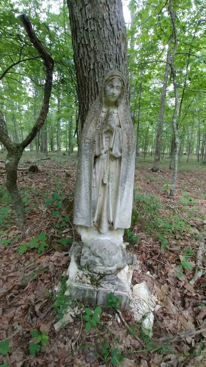 Lo encontré en medio de una caminata a través de los bosques en medio de la nada, al oeste de Virginia. No hay nada más alrededor, ni edificios
