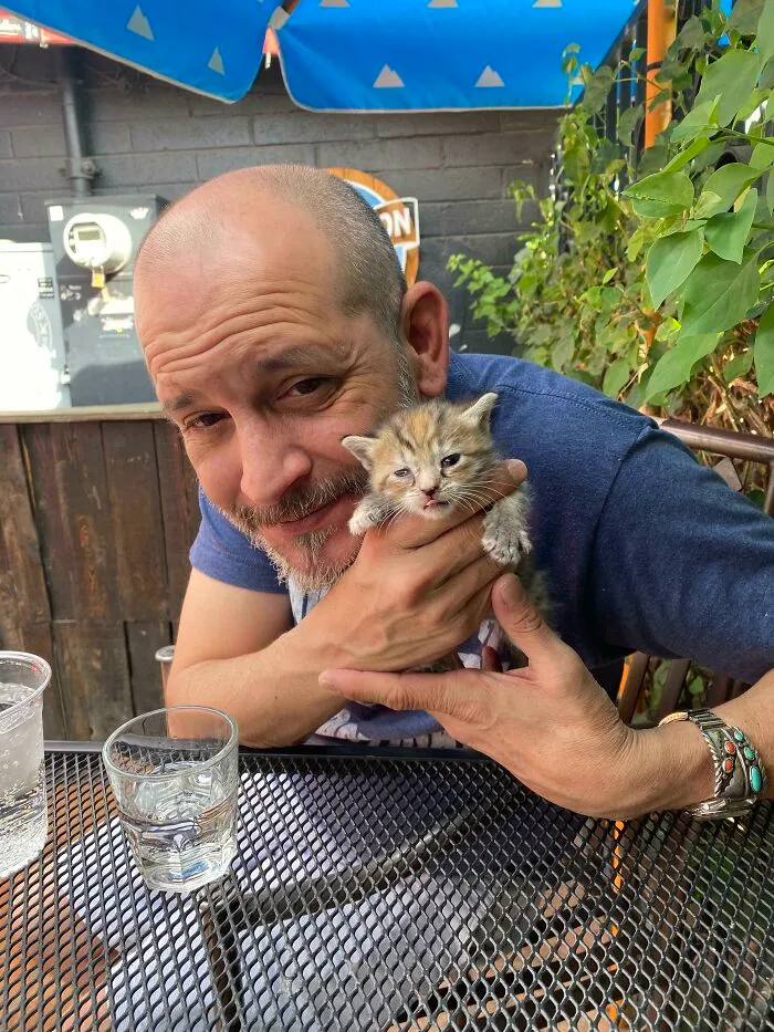 Somehow Adopted A Stray Kitten