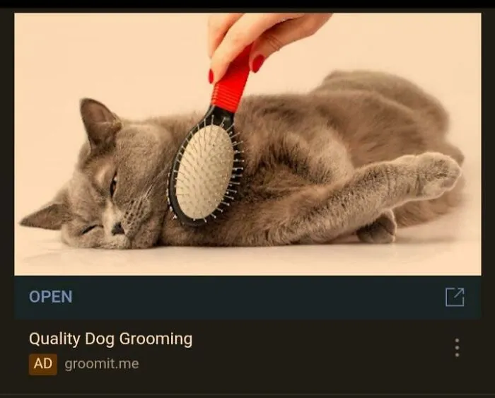 Is Anybody Familiar With This Particular Dog Breed?