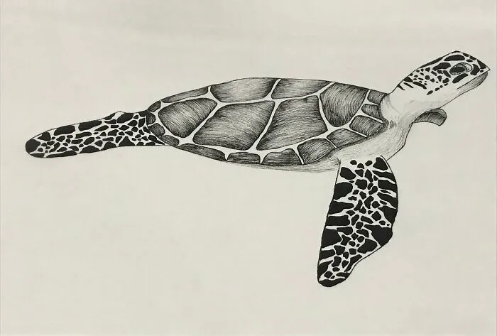 I Love To Draw And This Is One Of My Favourites.