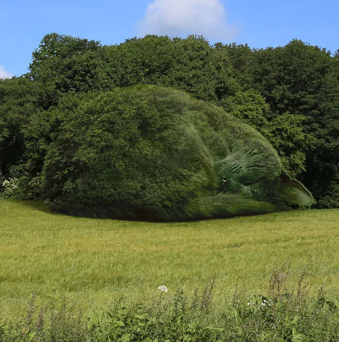 This 75-Year-Old Artist Creates Edits Of Bushes In Honor Of His Deceased Cat