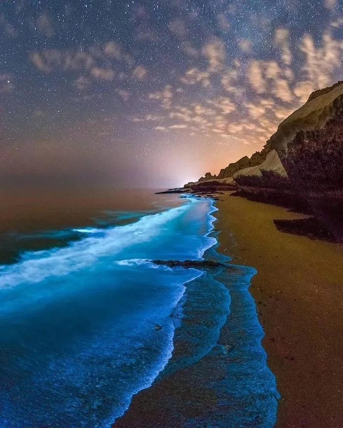 From Another Bp Post About Glowing Plankton I Believe