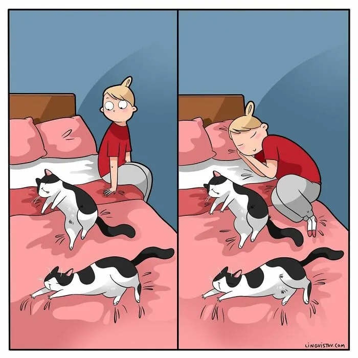 Esta artista ilustra cómo es vivir con un gato (25 nuevas imágenes)