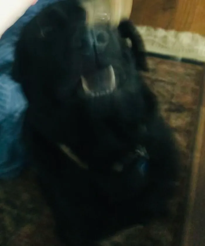 Breaking News: Treats Are Glitching!