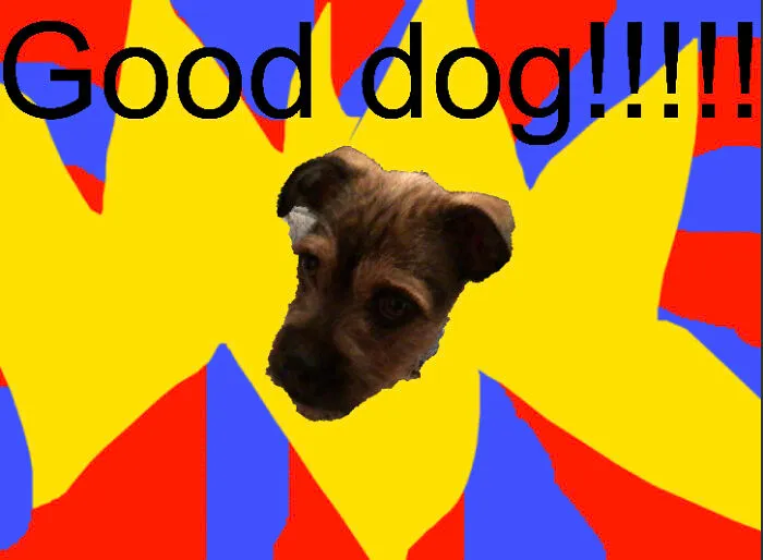 Good Dog!!!!