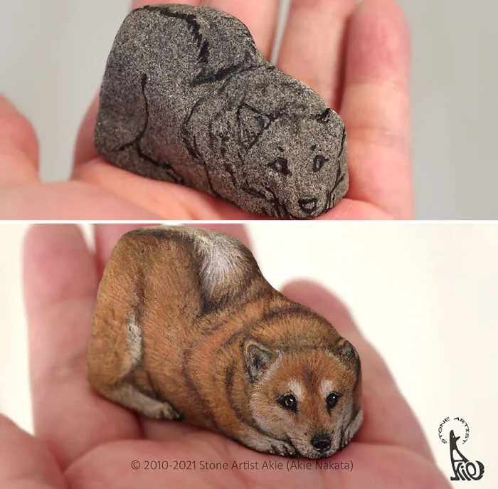 Japanese Artist Turns Blunt Stones Into Adorable Animals (70 New Pics)
