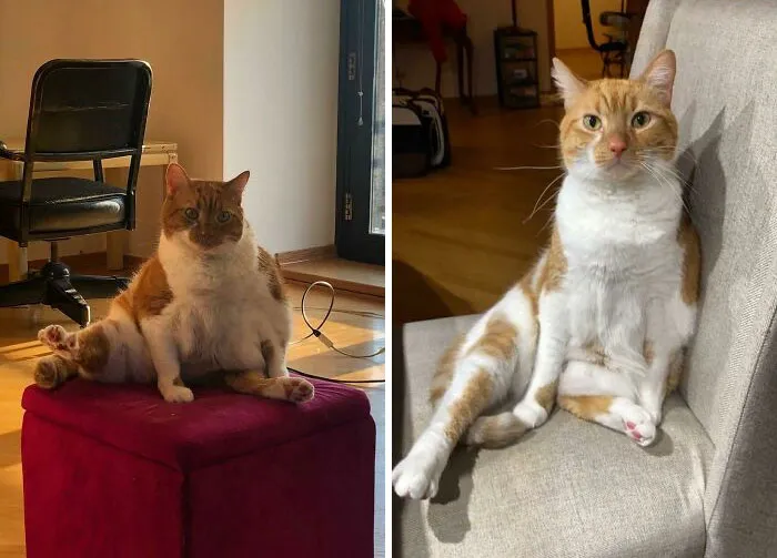 Phoebe’s Diet Is Going Well!