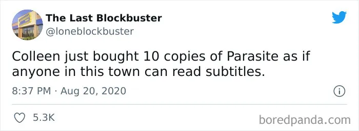 35 Hilarious Gems From “The Last Blockbuster” Twitter Account (New Posts)