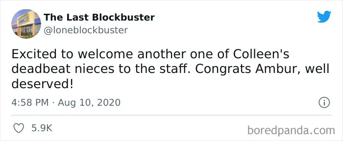 35 Hilarious Gems From “The Last Blockbuster” Twitter Account (New Posts)