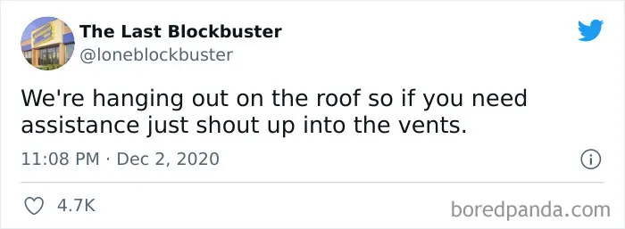 35 Hilarious Gems From “The Last Blockbuster” Twitter Account (New Posts)