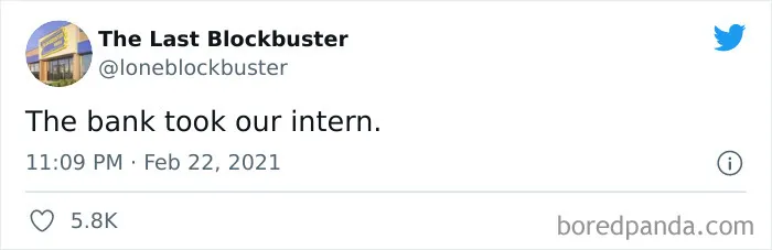 35 Hilarious Gems From “The Last Blockbuster” Twitter Account (New Posts)
