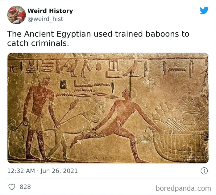 Ancient Egyptian carved stone relief showing a man using trained baboons to catch criminals in weird history facts.