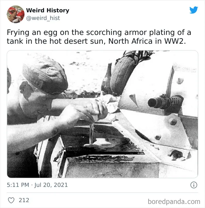 Man frying an egg on the hot armor plating of a tank in North Africa during World War II weird history fact.