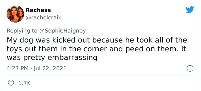 32 Times When Dogs Got Kicked Out Of Daycare For The Funniest Reasons, Shared By Owners Online
