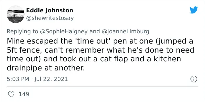 32 Times When Dogs Got Kicked Out Of Daycare For The Funniest Reasons, Shared By Owners Online