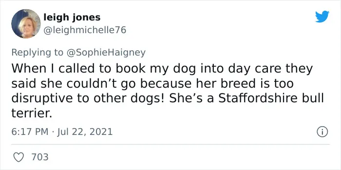 32 Times When Dogs Got Kicked Out Of Daycare For The Funniest Reasons, Shared By Owners Online