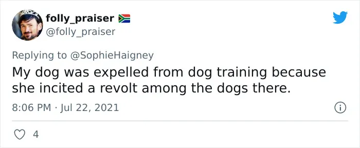 32 Times When Dogs Got Kicked Out Of Daycare For The Funniest Reasons, Shared By Owners Online