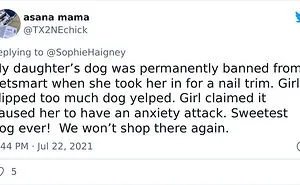 32 Times When Dogs Got Kicked Out Of Daycare For The Funniest Reasons, Shared By Owners Online