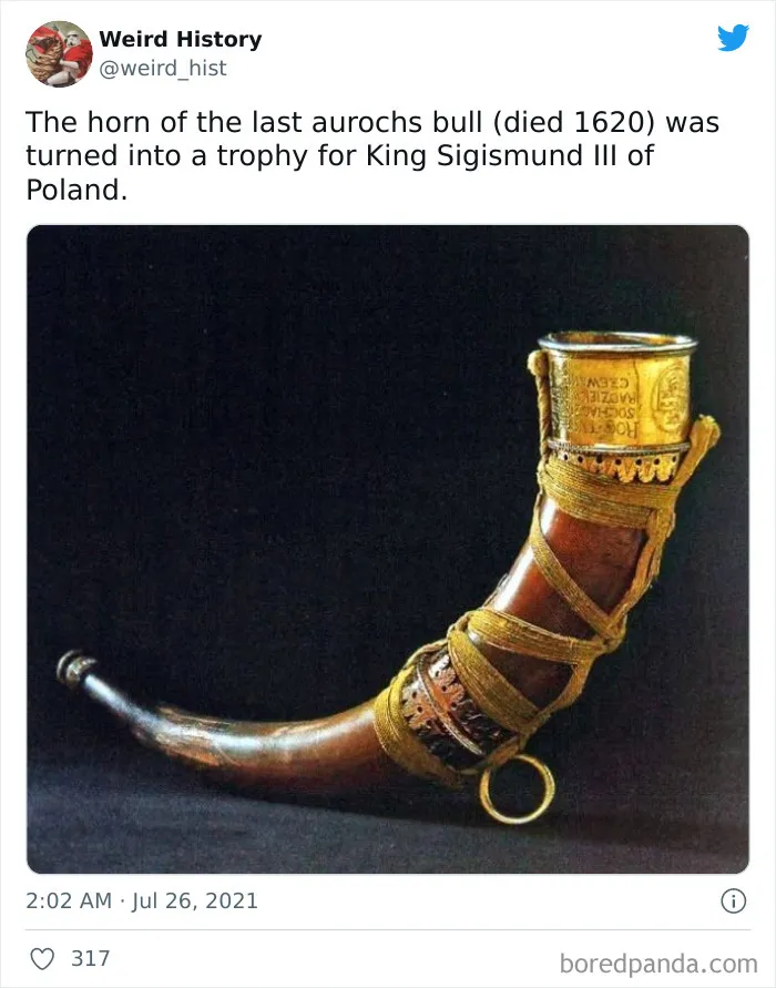 Horn trophy made from the last aurochs bull, a weird history fact for history and trivia lovers.