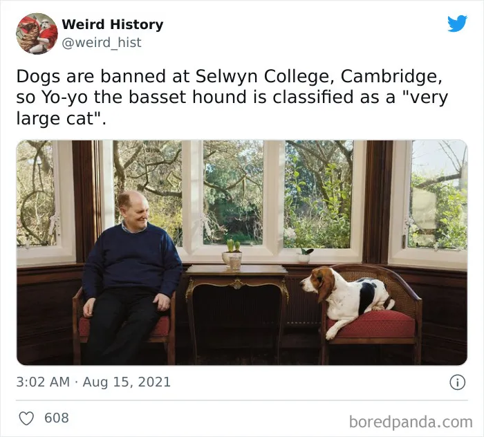 Pet Identity Crisis