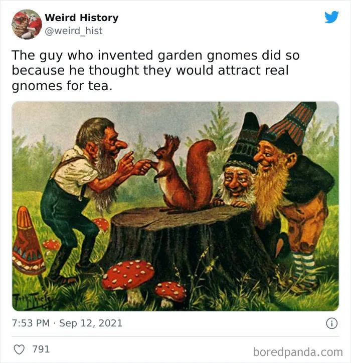 Tea Time With Gnomes