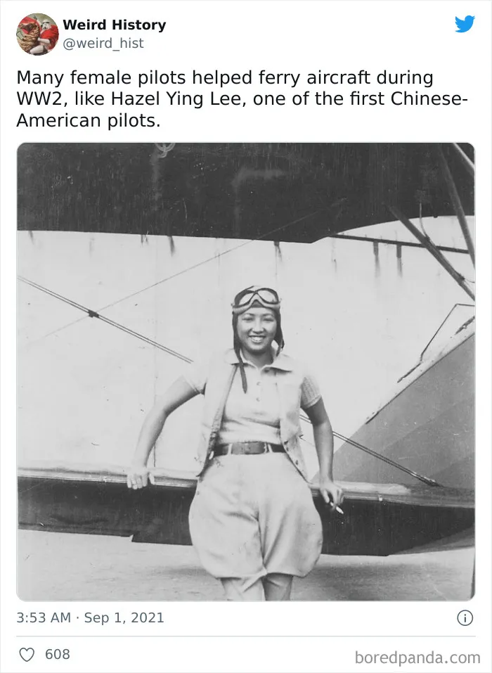 Trailblazing Wings