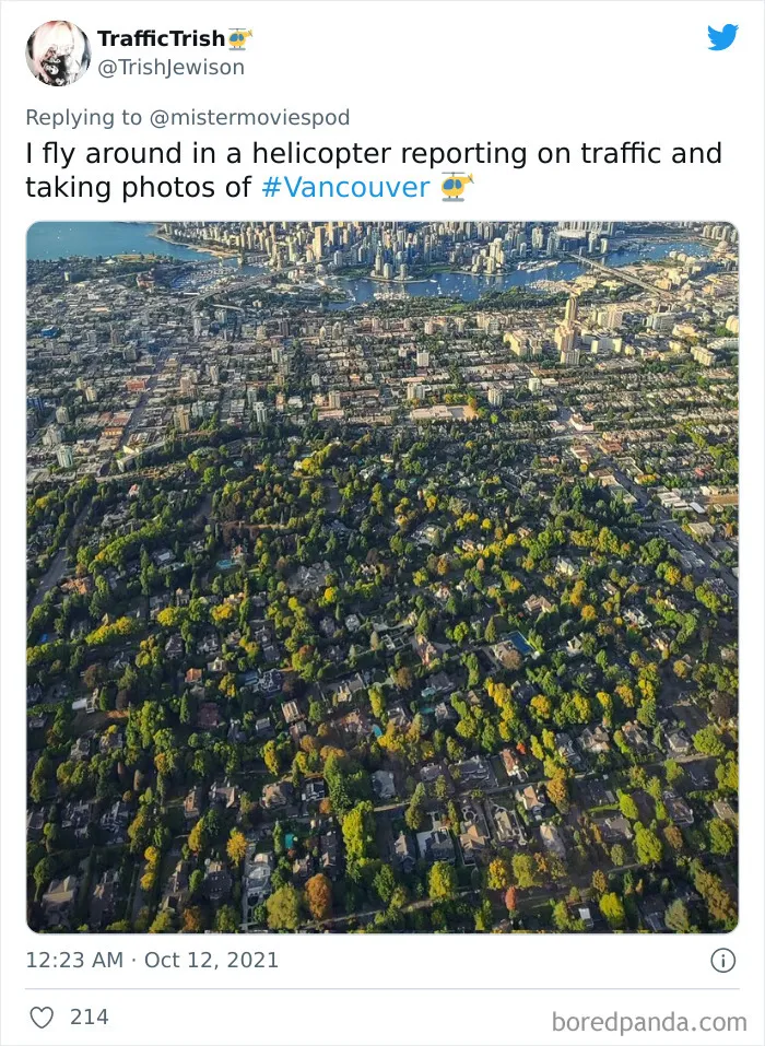 People Who Actually Like Their Jobs Are Sharing What They Do (35 Tweets)