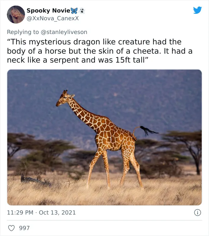 26 Myths That Might Have Originated Because People With Poor Eyesight Had No Access To Glasses, As Shared On Twitter