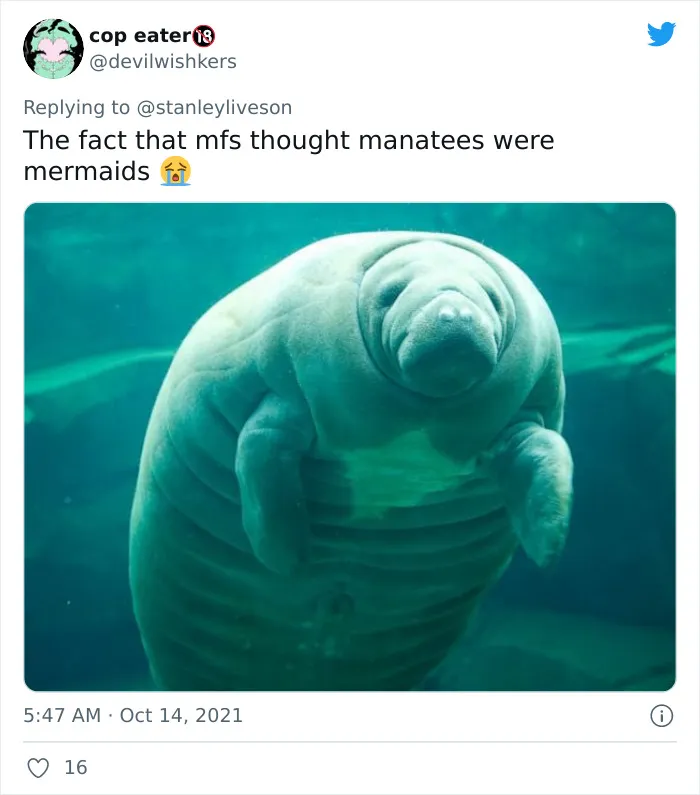 26 Myths That Might Have Originated Because People With Poor Eyesight Had No Access To Glasses, As Shared On Twitter