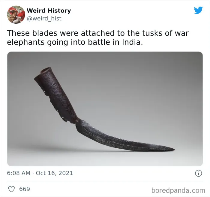 Rusty iron blade once attached to war elephant tusks used in historic Indian battles, showcasing weird history facts.