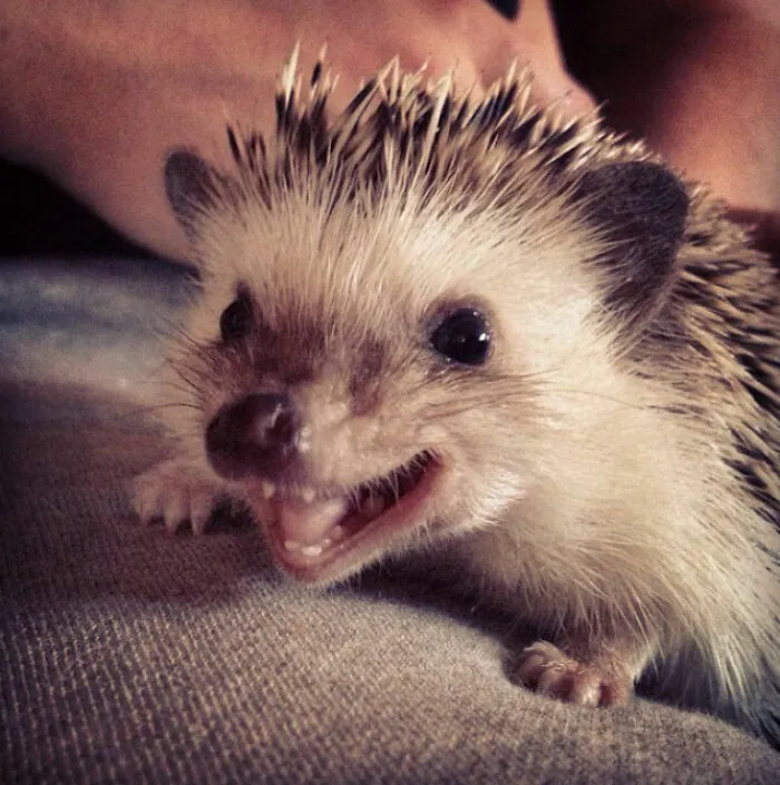 Hey Pandas, Whats The Most Random Photo You Have?