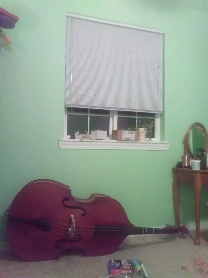 Double Bass