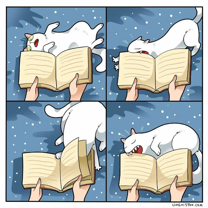 Esta artista ilustra cómo es vivir con un gato (25 nuevas imágenes)