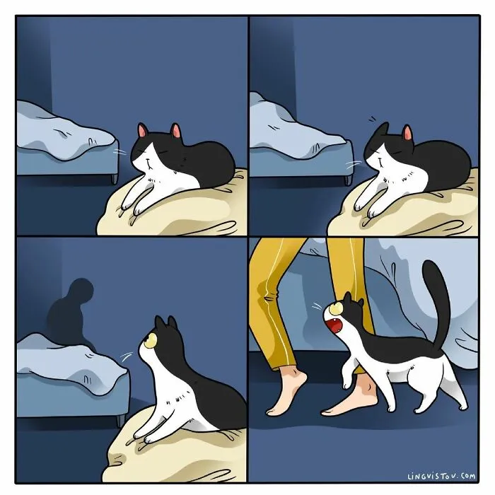 Esta artista ilustra cómo es vivir con un gato (25 nuevas imágenes)