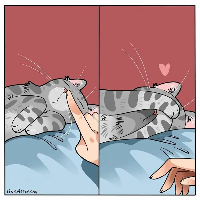 Esta artista ilustra cómo es vivir con un gato (25 nuevas imágenes)