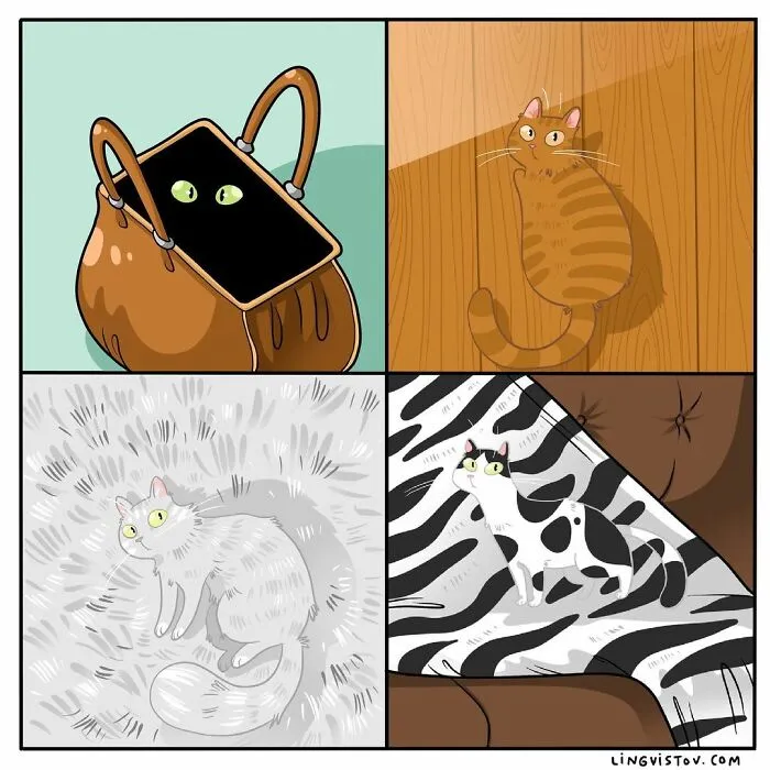 Esta artista ilustra cómo es vivir con un gato (25 nuevas imágenes)