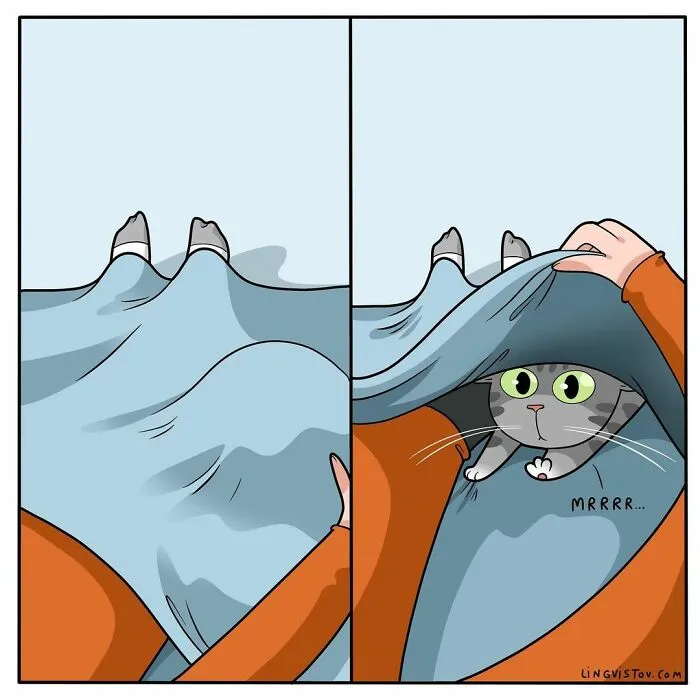 Esta artista ilustra cómo es vivir con un gato (25 nuevas imágenes)