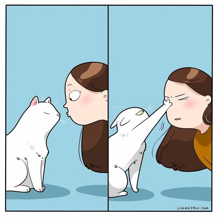 Esta artista ilustra cómo es vivir con un gato (25 nuevas imágenes)