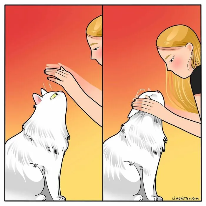 Esta artista ilustra cómo es vivir con un gato (25 nuevas imágenes)
