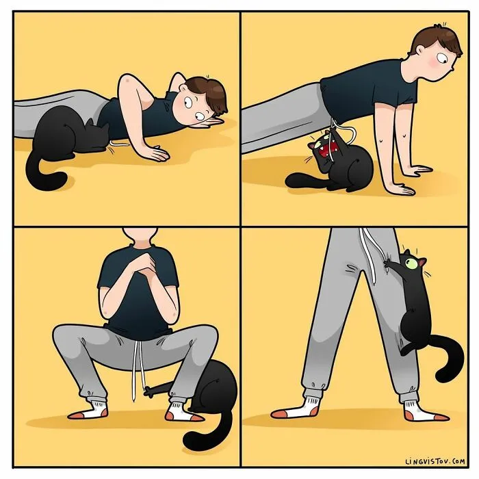 Esta artista ilustra cómo es vivir con un gato (25 nuevas imágenes)