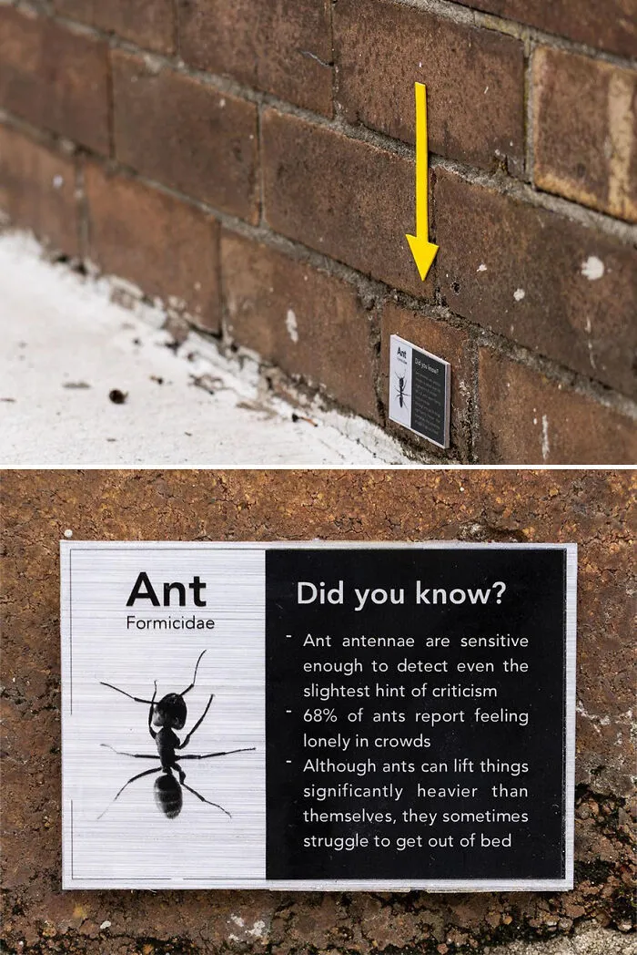 Artist Hides Clever And Funny Signs Around His City For People To Find (30 Pics)