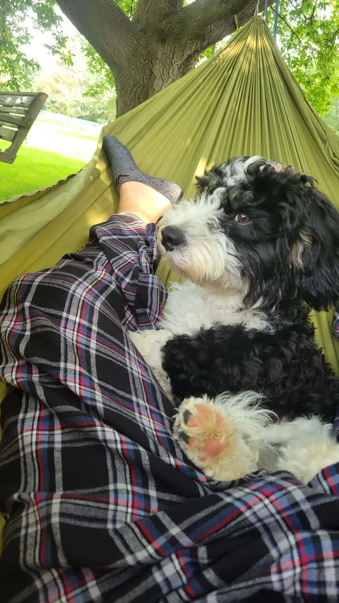 Chillin
