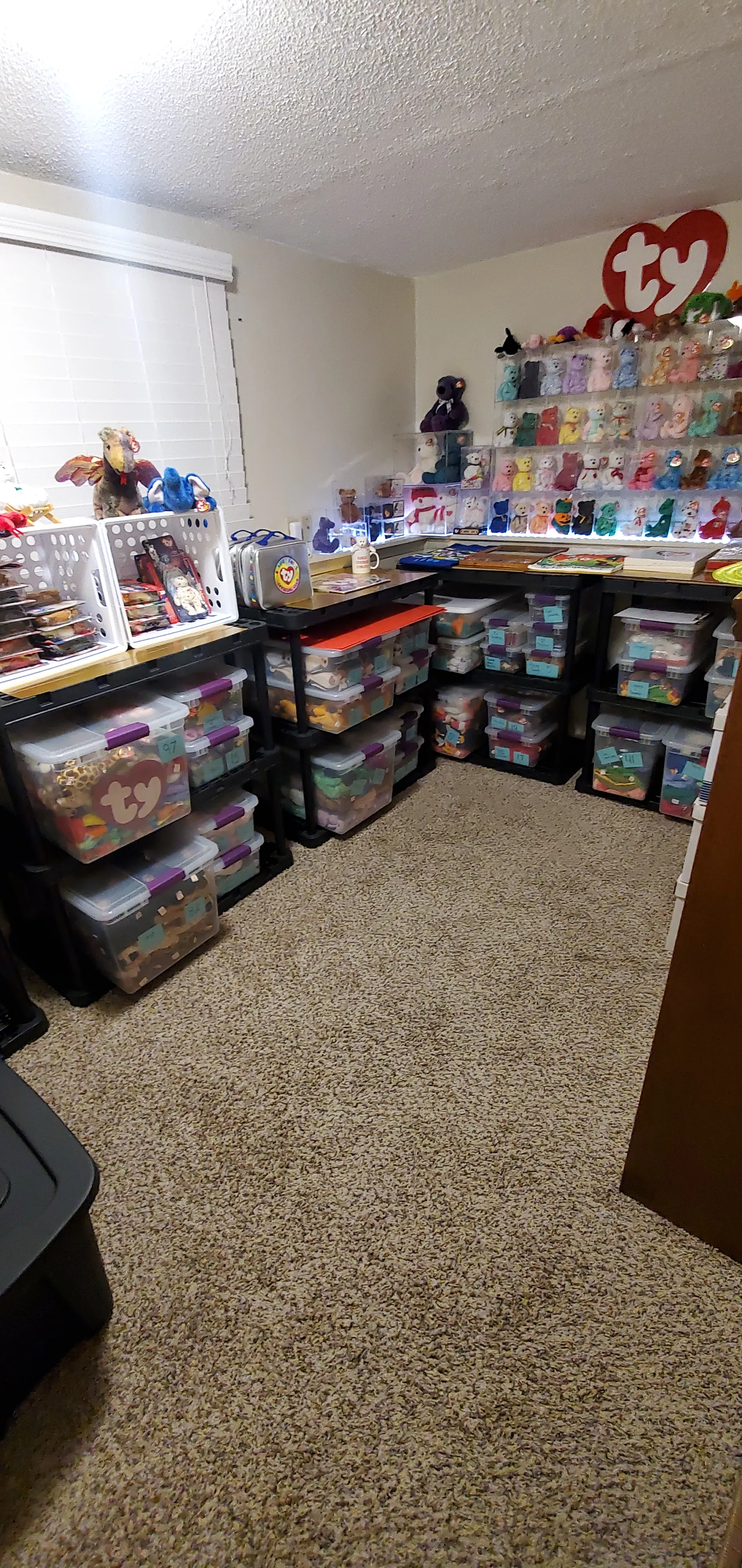 I Bought Beanie Babies That Had Been Sealed Away For 20 Years! 37 Mystery Boxes!