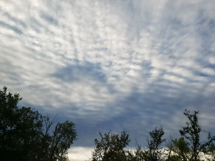 The Sky Was So Weird Last Week, I Must Have Taken 50 Photos. This Looked Like A Cat To Me.    After This, It Got Really Foggy.  "The Fog Comes. On Little Cat Feet. It Sits Looking. Over Harbor And City. On Silent Haunches. And Then Moves On."  Carl Sandburg