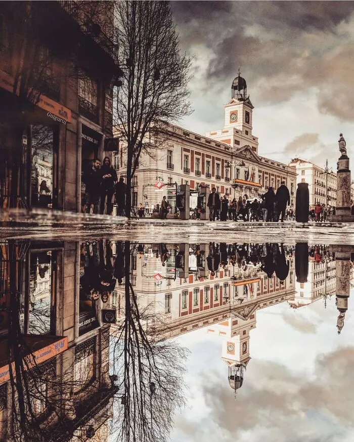 I Discover Hidden Parallel Worlds In Puddles And Other Reflections On My Smartphone (30 Pics)